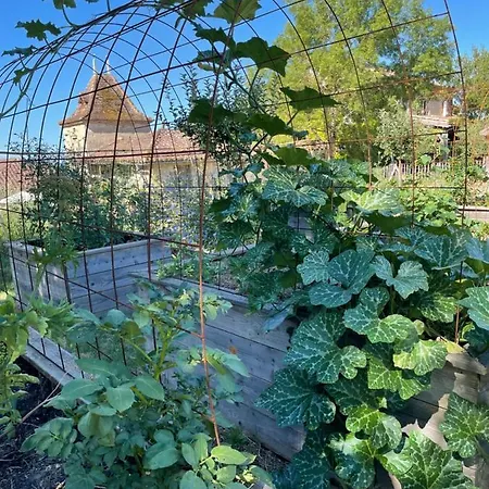Superbe Propriete Avec Piscine * Castet-Arrouy