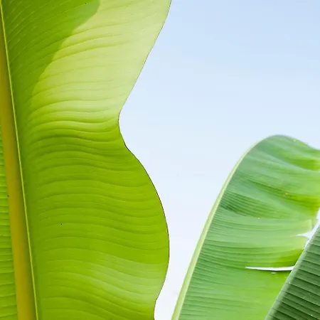 Superbe Propriete Avec Piscine Feriehus