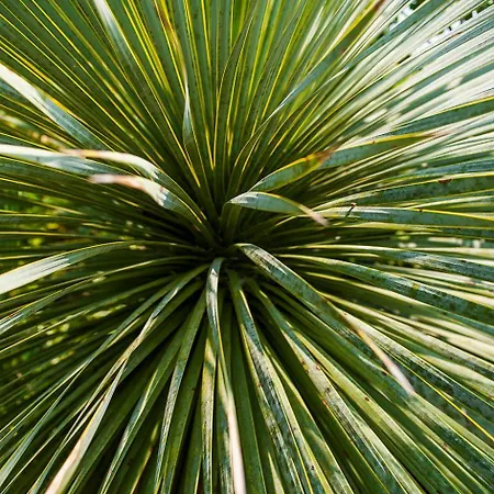 Superbe Propriete Avec Piscine *