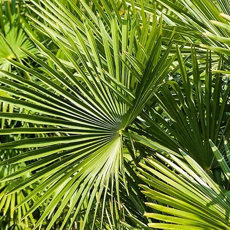 Superbe Propriete Avec Piscine Castet-Arrouy