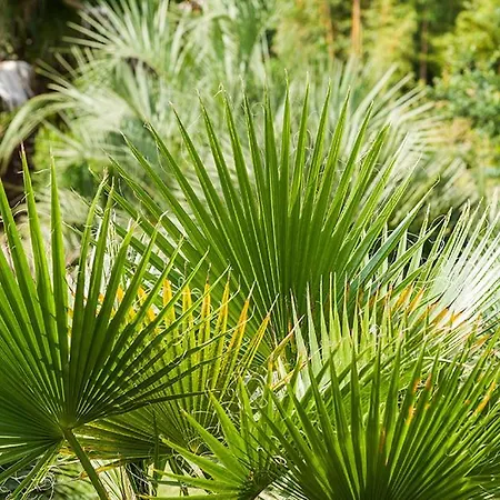 Feriehus Superbe Propriete Avec Piscine Castet-Arrouy
