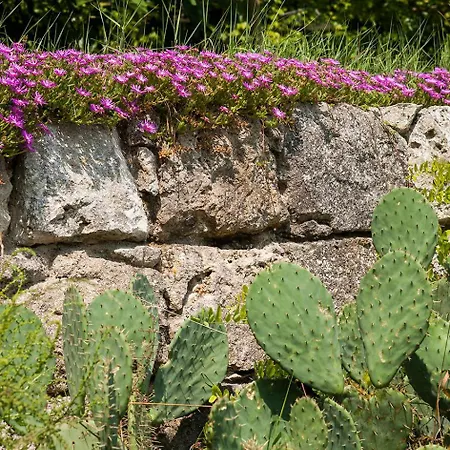 Feriehus Superbe Propriete Avec Piscine