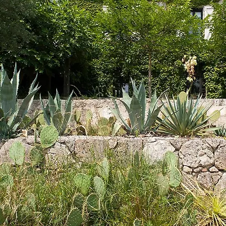 Superbe Propriete Avec Piscine