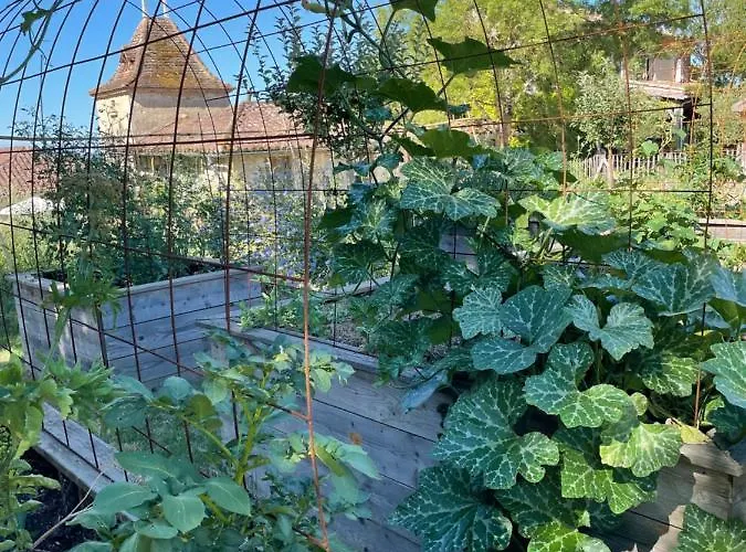 Superbe Propriete Avec Piscine * Castet-Arrouy