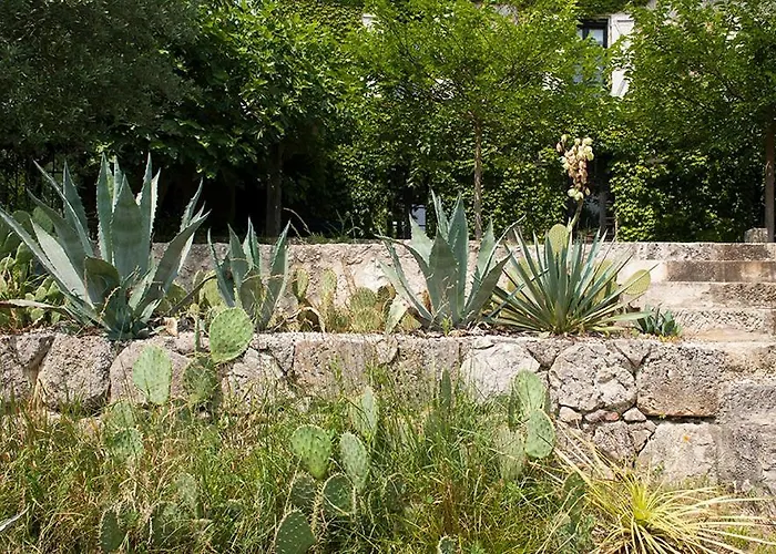 Superbe Propriete Avec Piscine