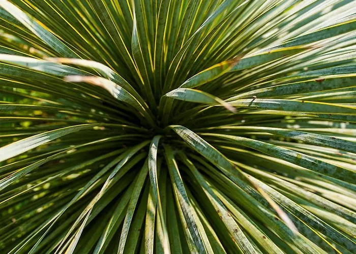 Superbe Propriete Avec Piscine *