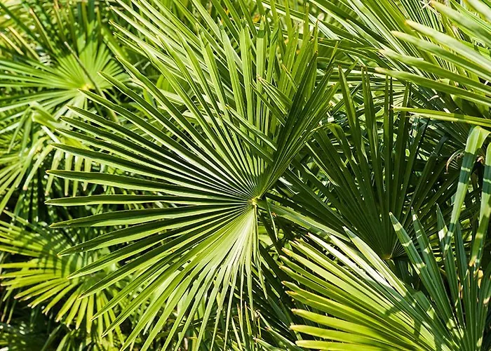 Superbe Propriete Avec Piscine Castet-Arrouy