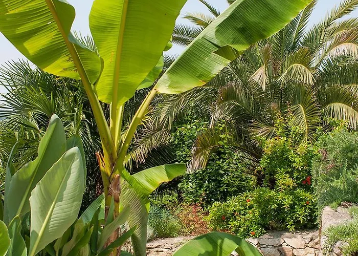 Semesterbostad Superbe Propriete Avec Piscine